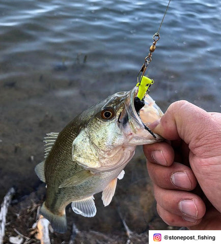 Fin Commander Curly Critter Black/Chartreuse, 6 pc.